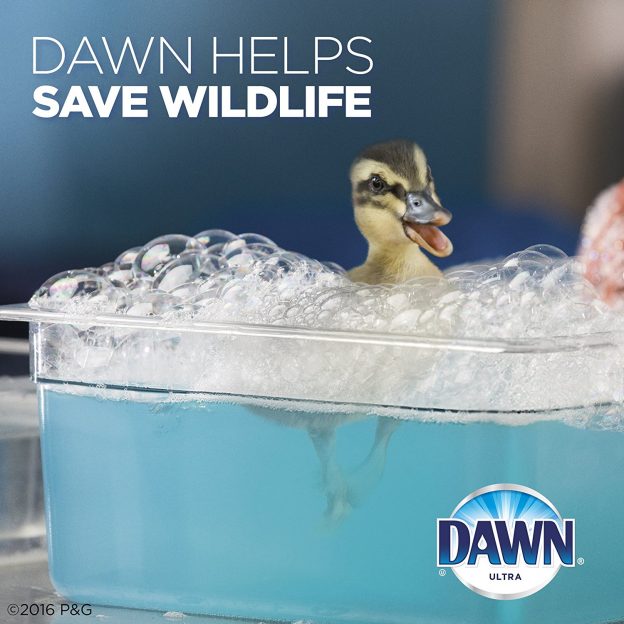 How Good Is Dawn Dishwashing Liquid Online Coupons Resources